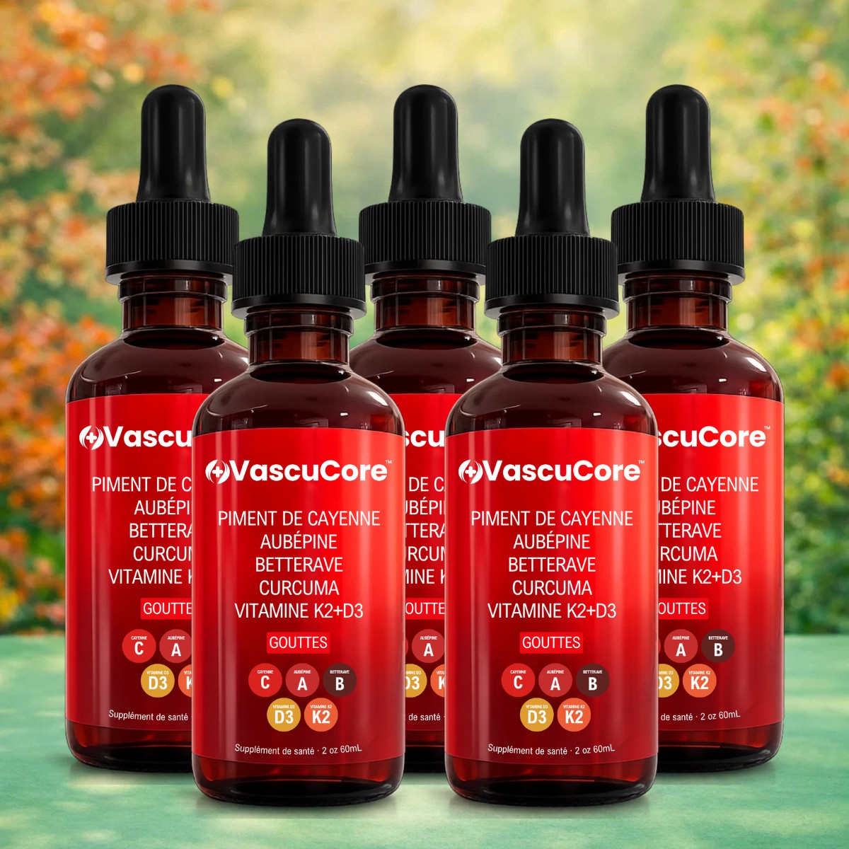 VascuCore CA
