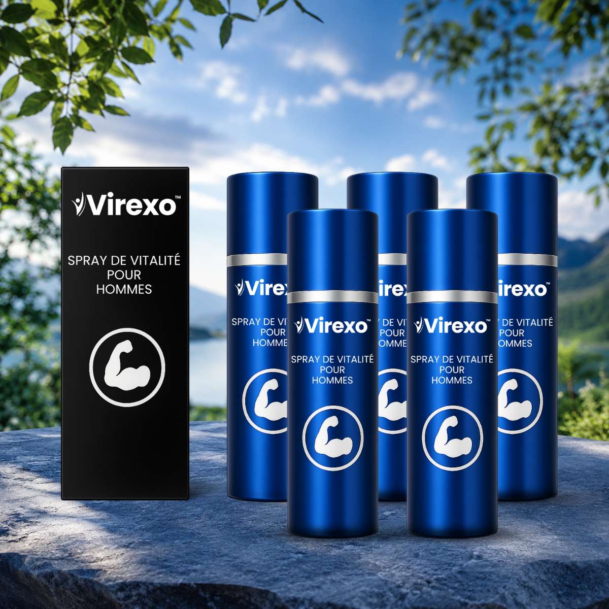 Virexo CA