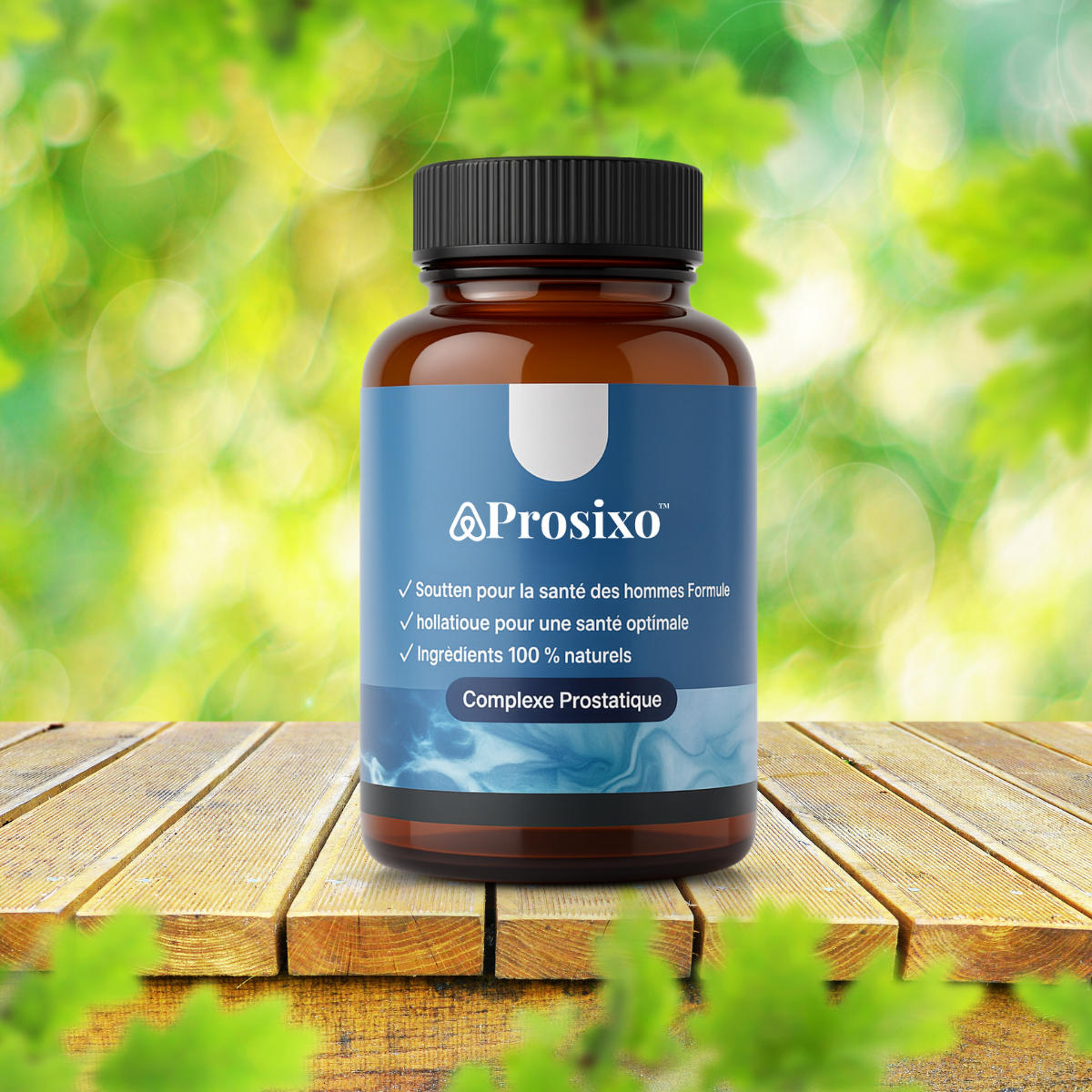 Prosixo CA