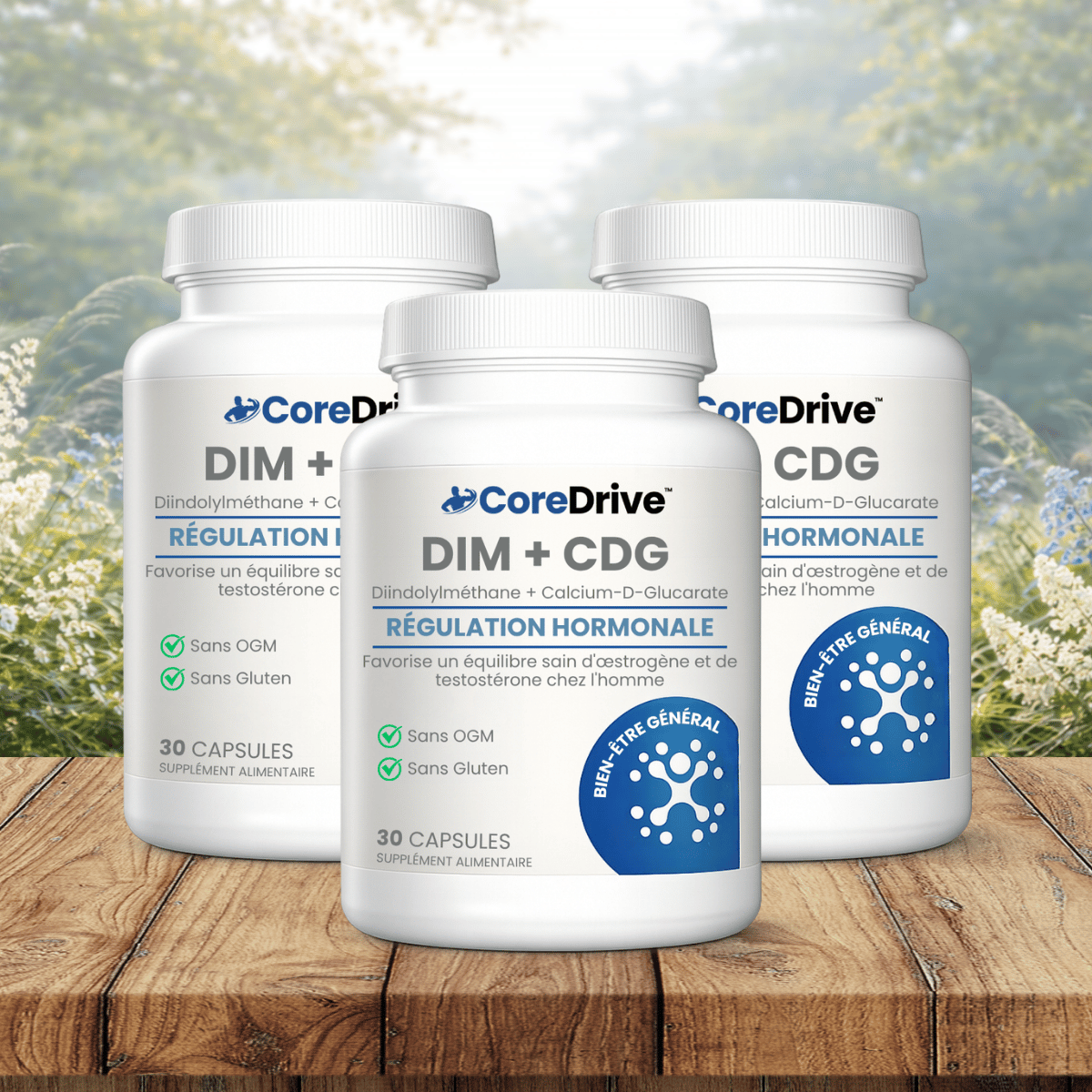CoreDrive CA