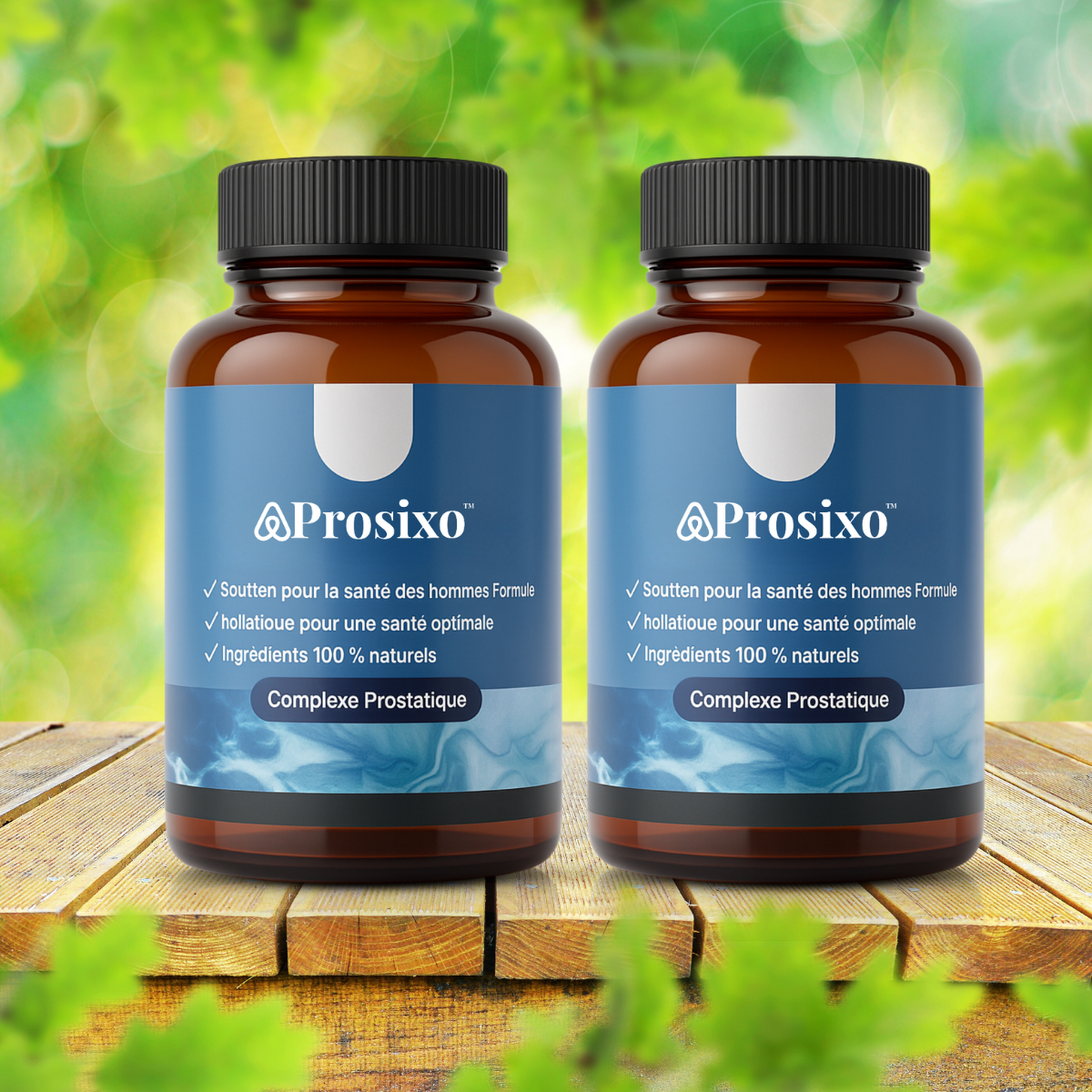 Prosixo CA