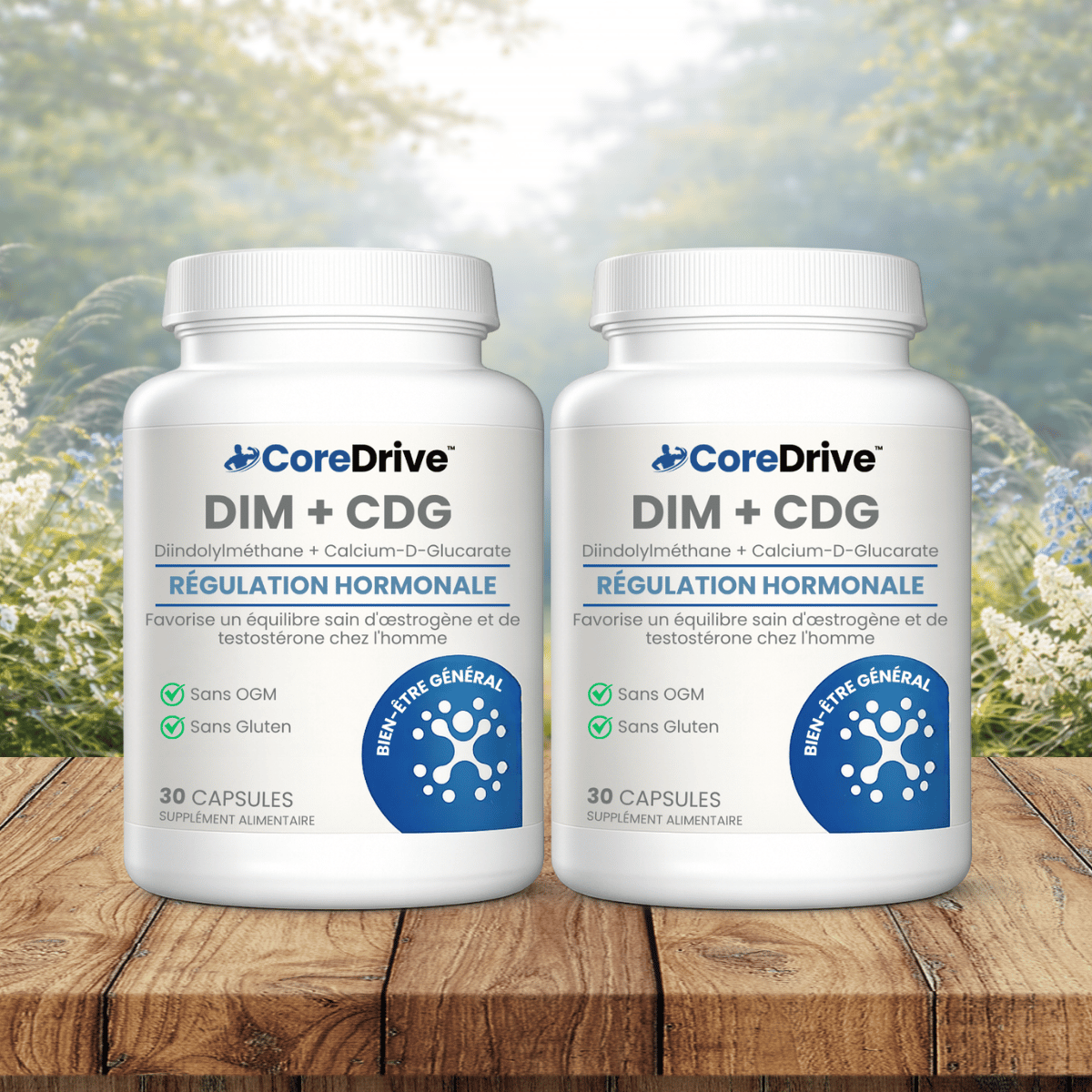 CoreDrive CA