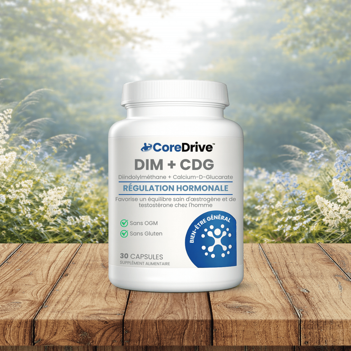 CoreDrive CA