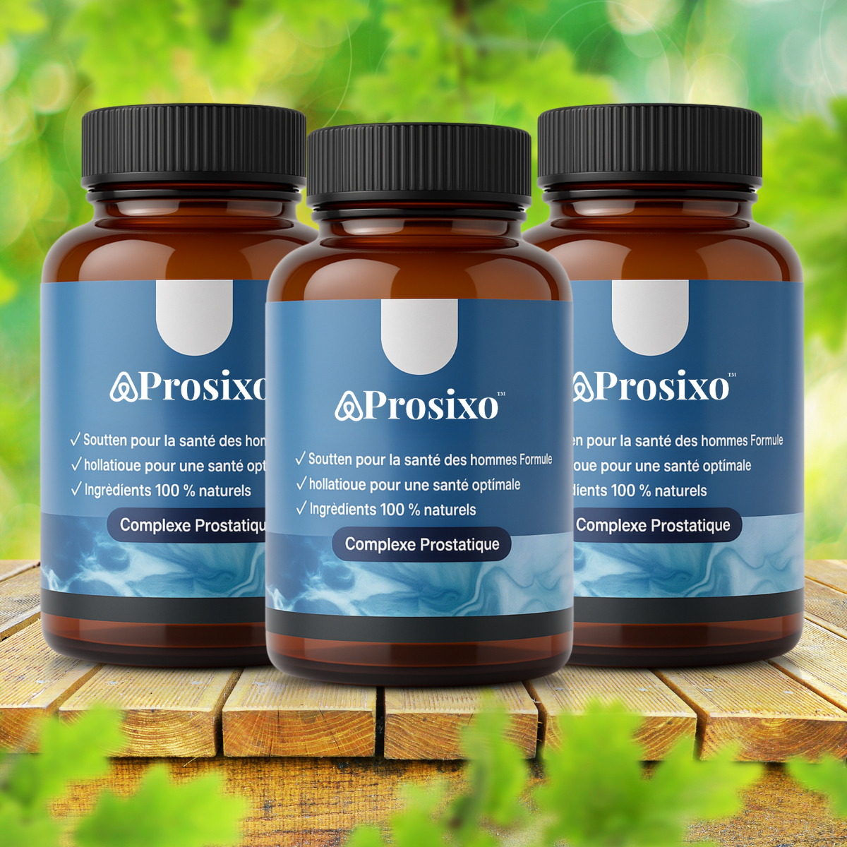 Prosixo CA