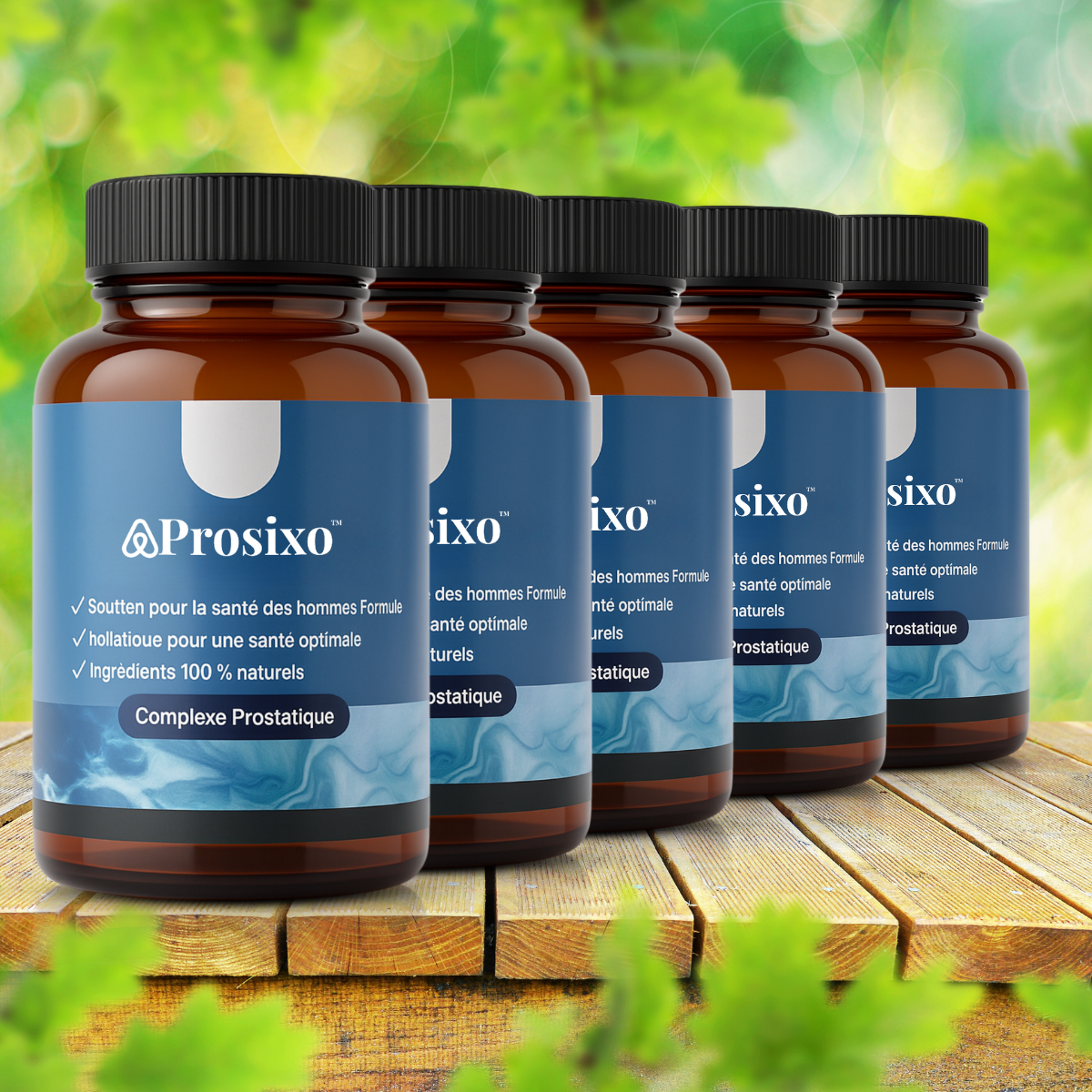 Prosixo CA