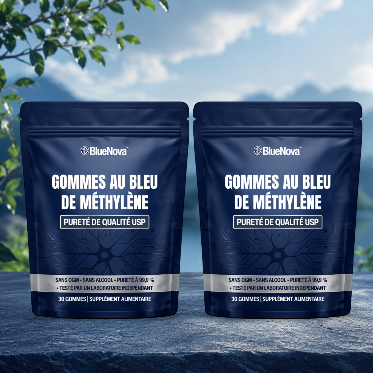 BlueNova CA