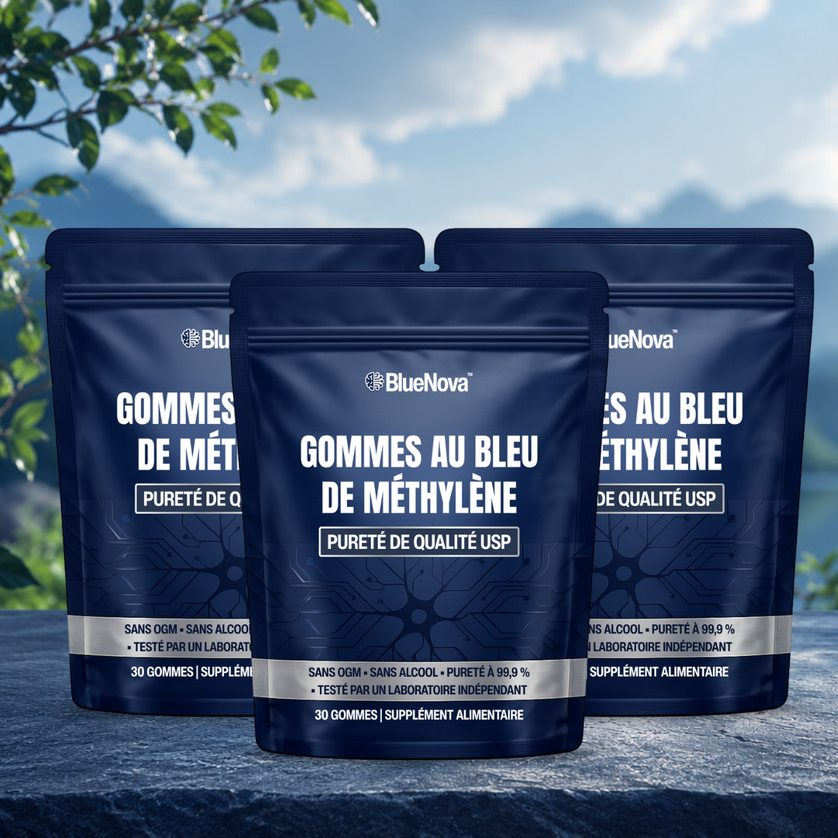 BlueNova CA