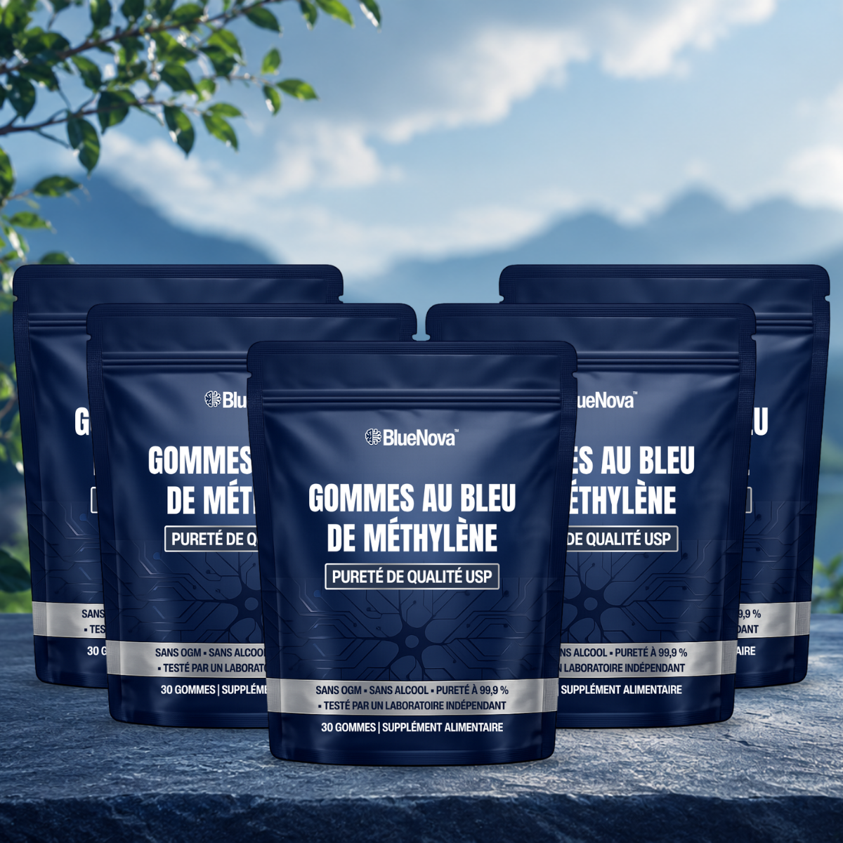 BlueNova CA