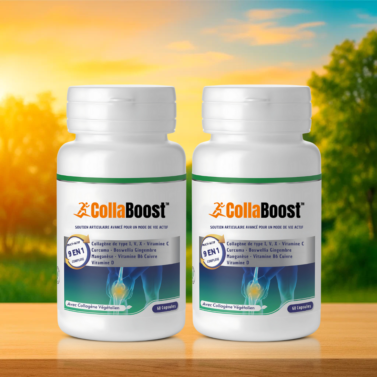 CollaBoost CA