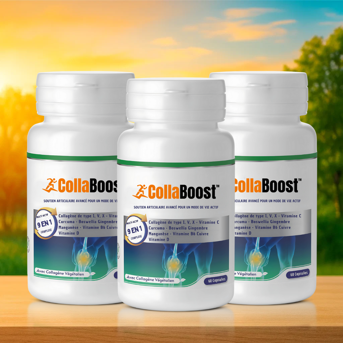 CollaBoost CA