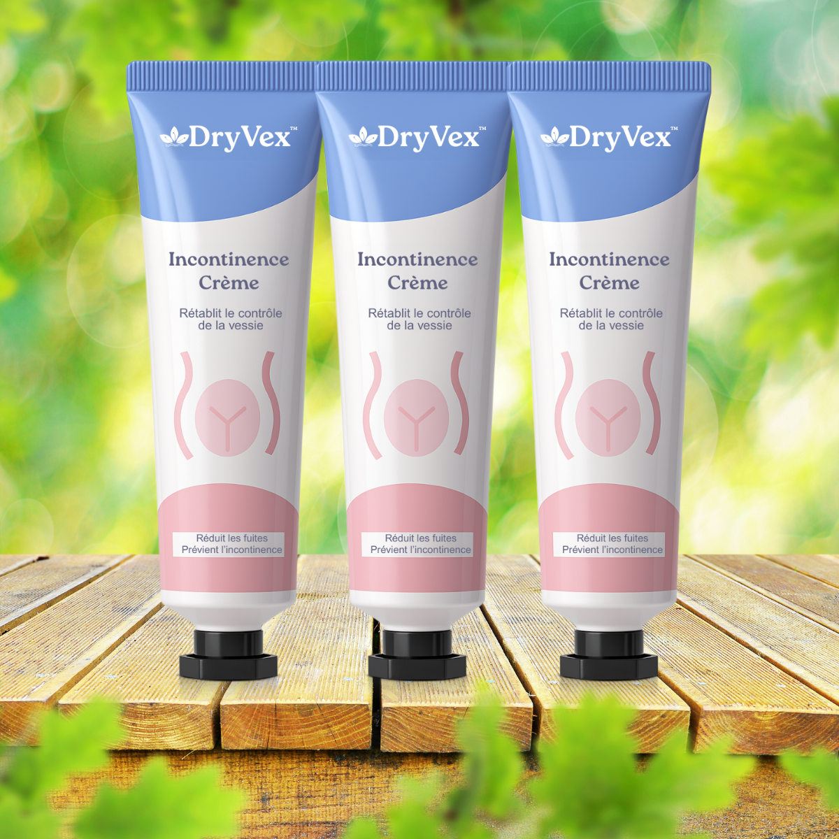 DryVex CA