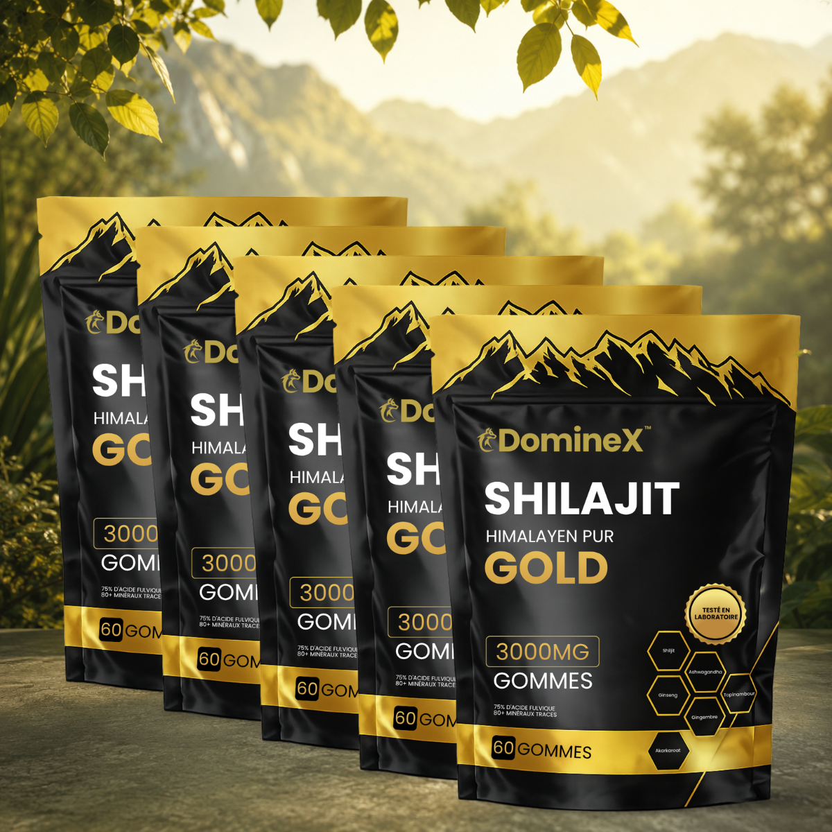 DomineX CA