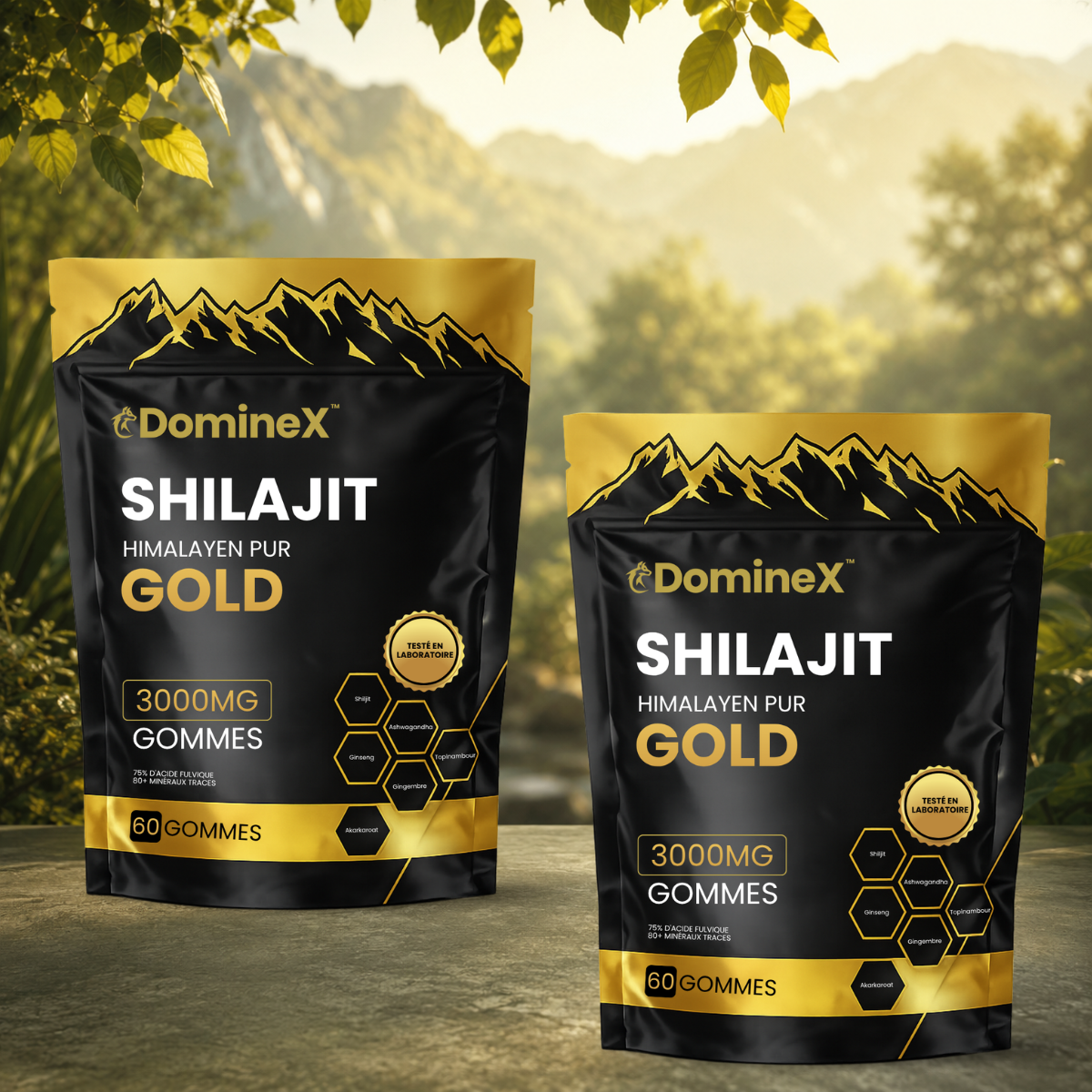 DomineX CA