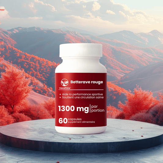 VascoPrime CA