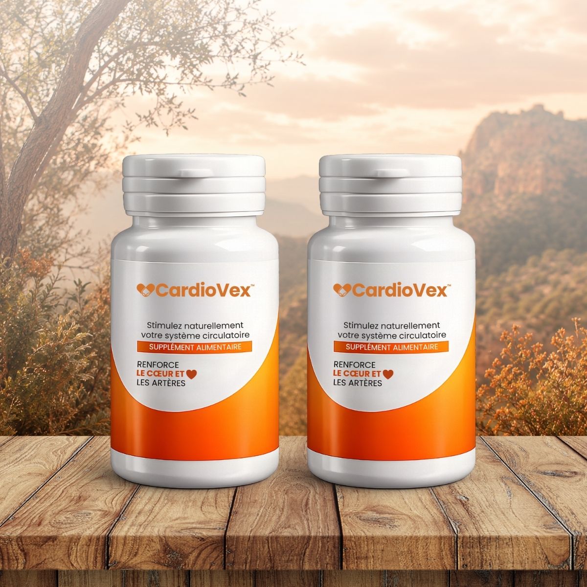 CardioVex CA