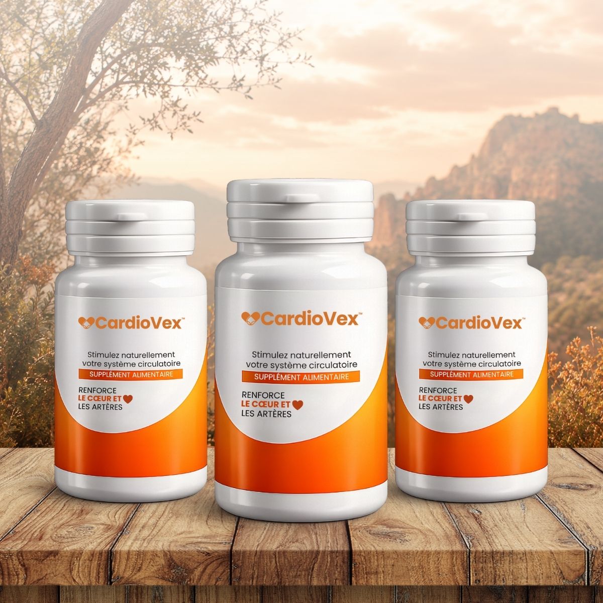 CardioVex CA