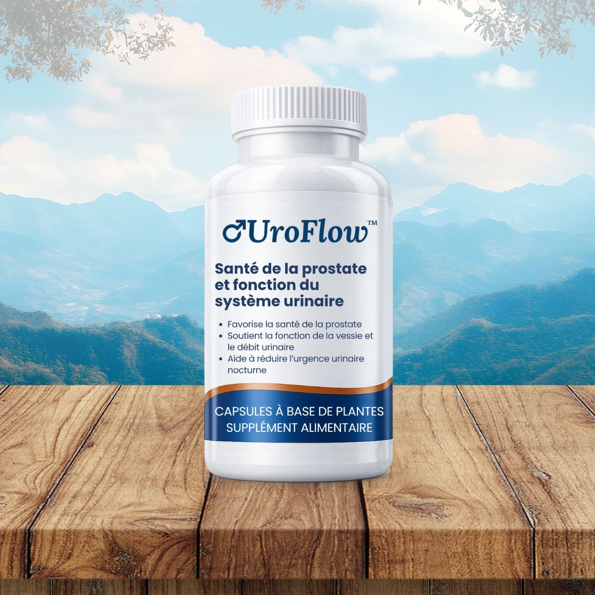 UroFlow CA