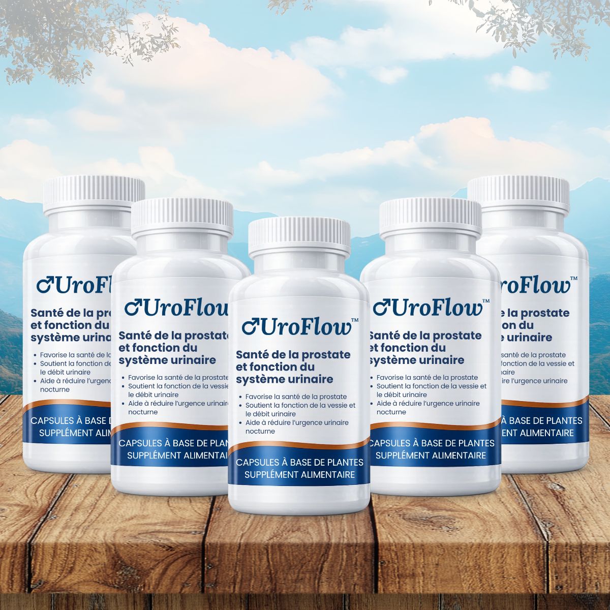 UroFlow CA