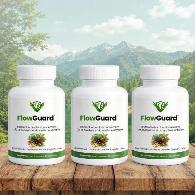 FlowGuard CA