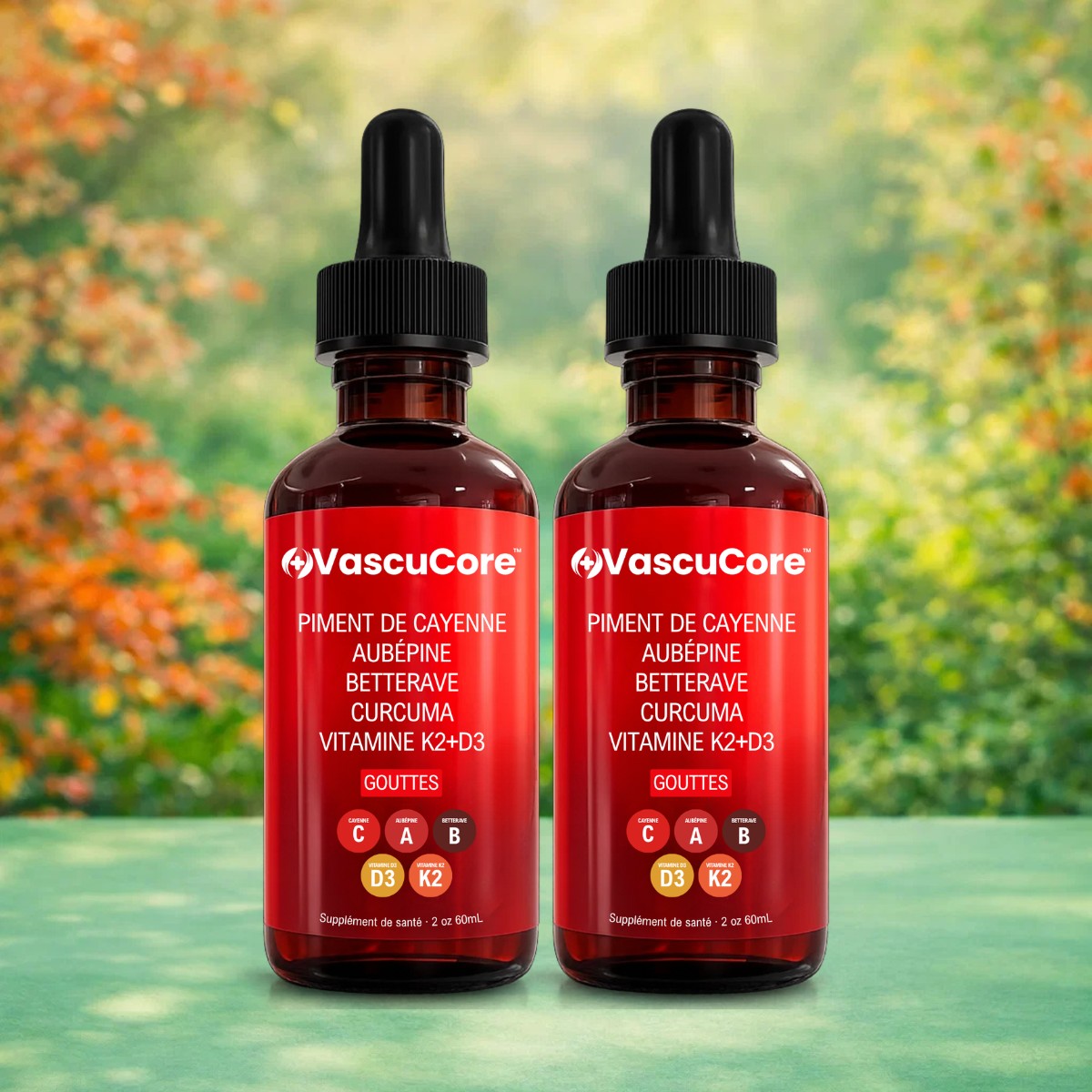 VascuCore CA