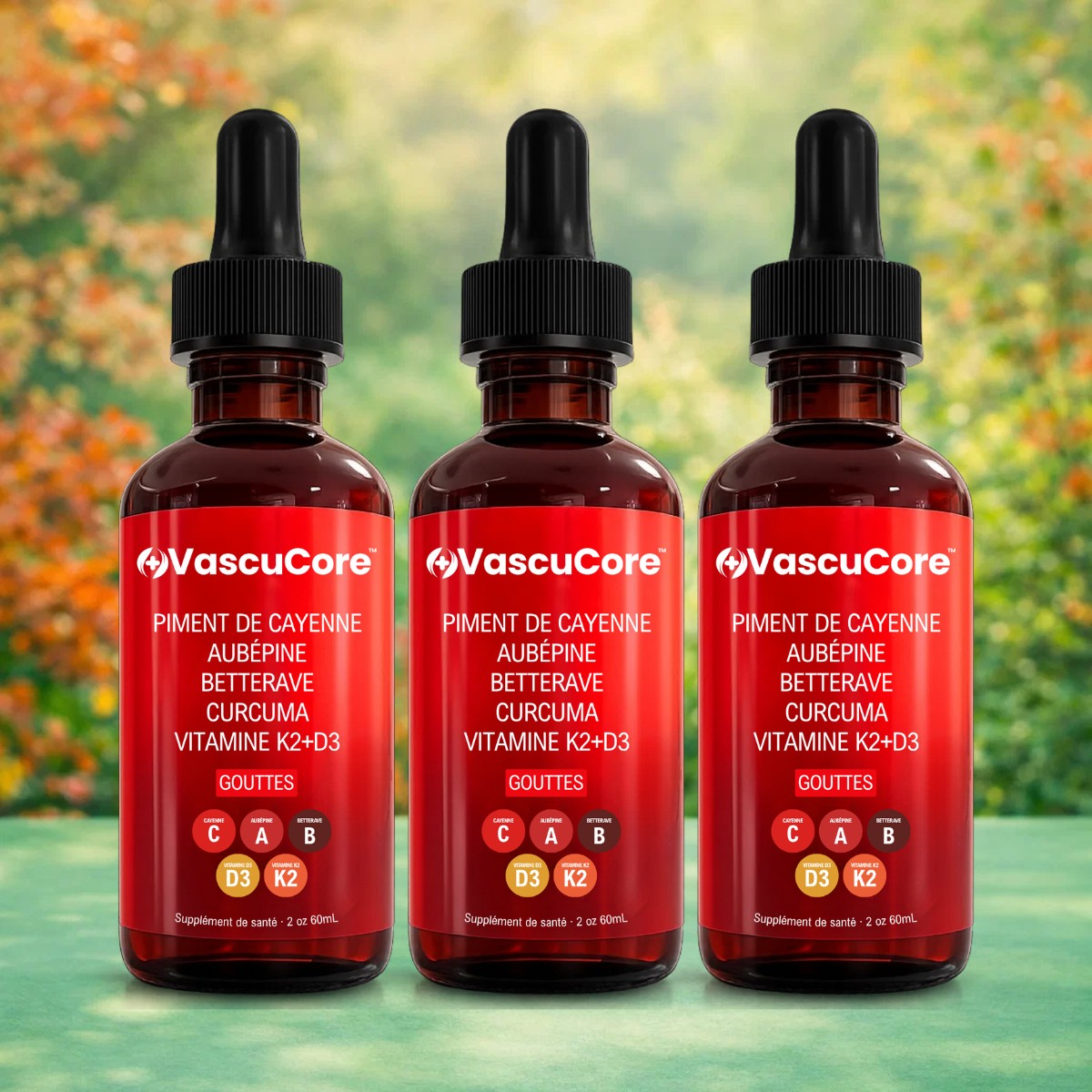 VascuCore CA