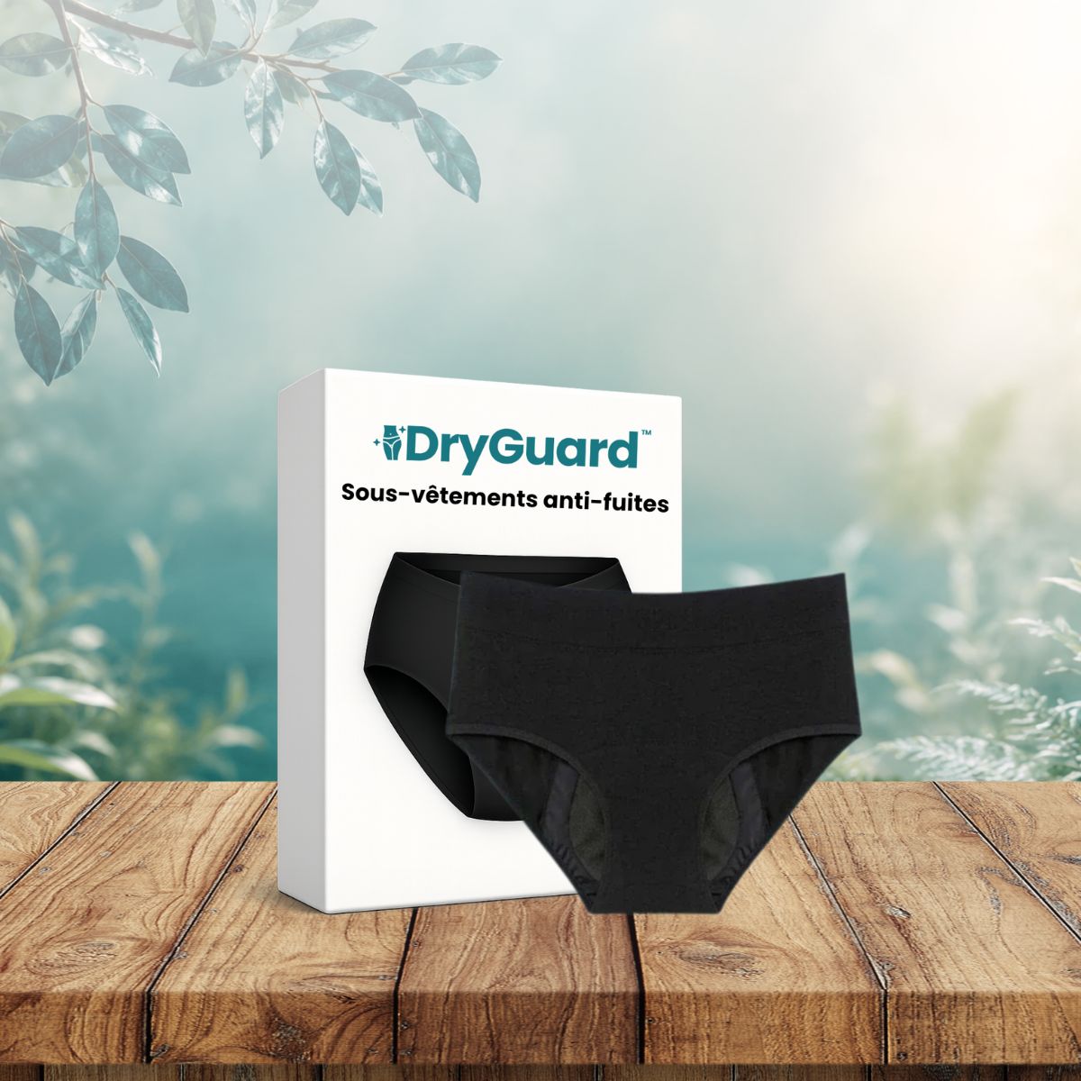 DryGuard CA