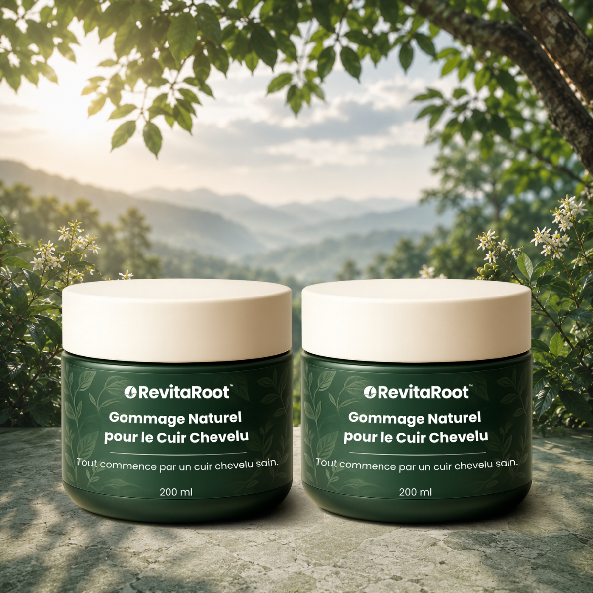 RevitaRoot CA
