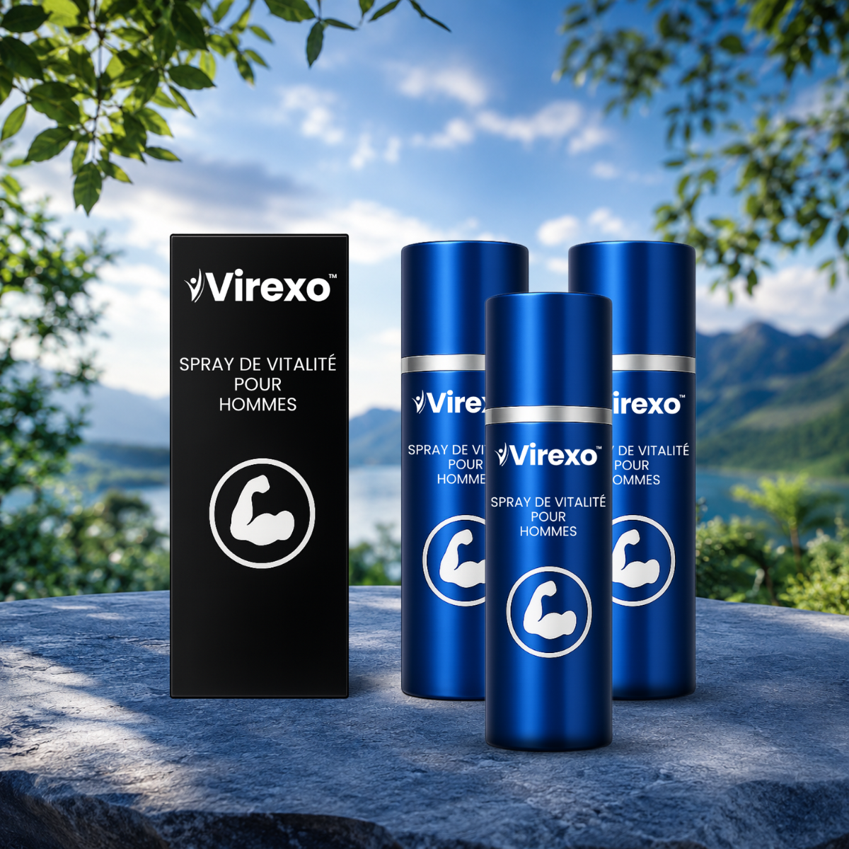 Virexo CA