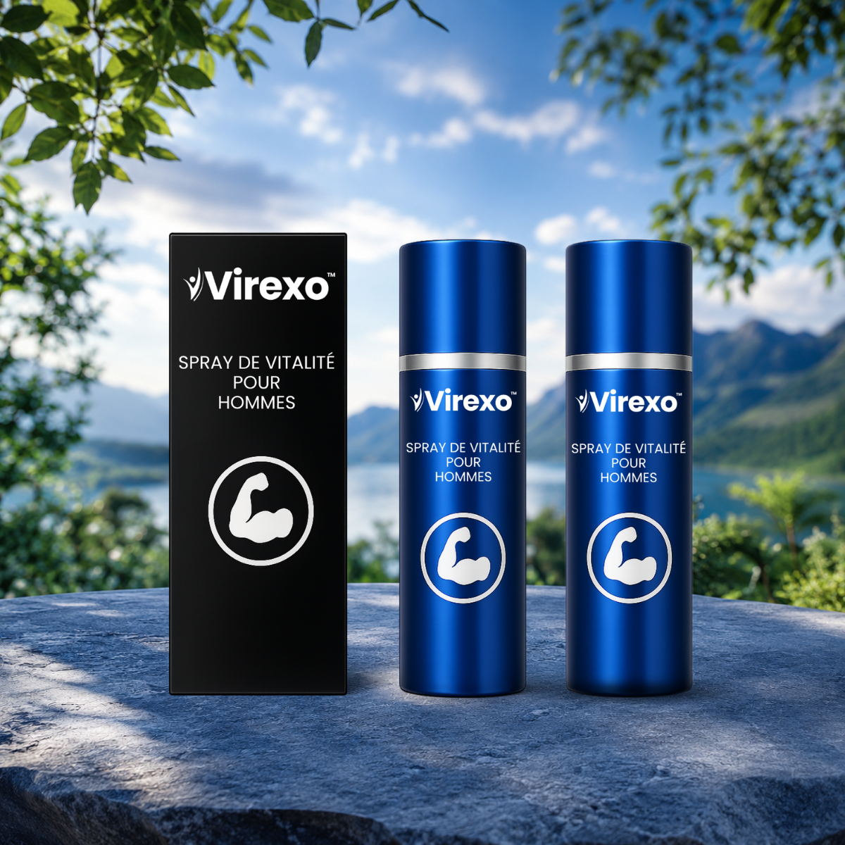 Virexo CA
