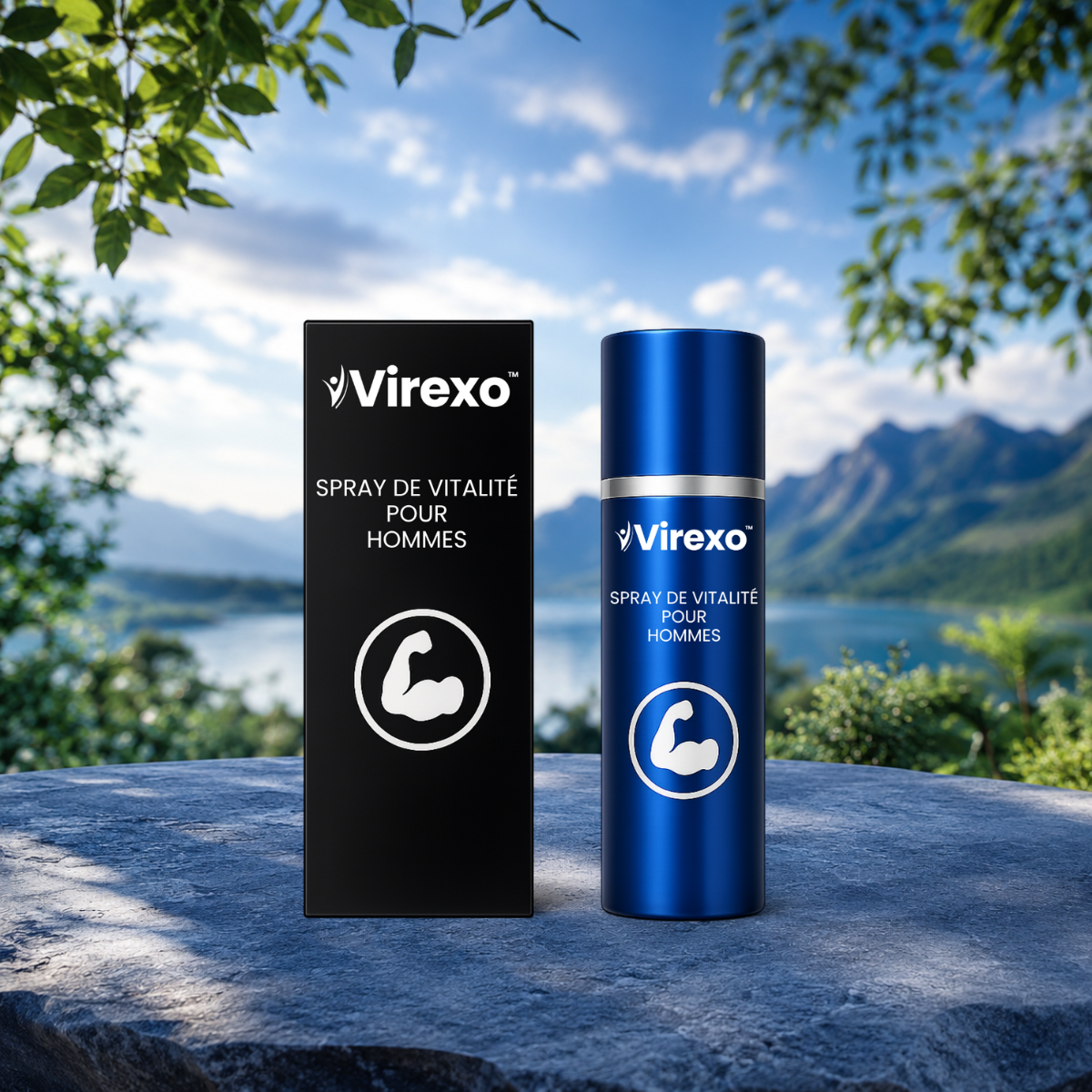 Virexo CA