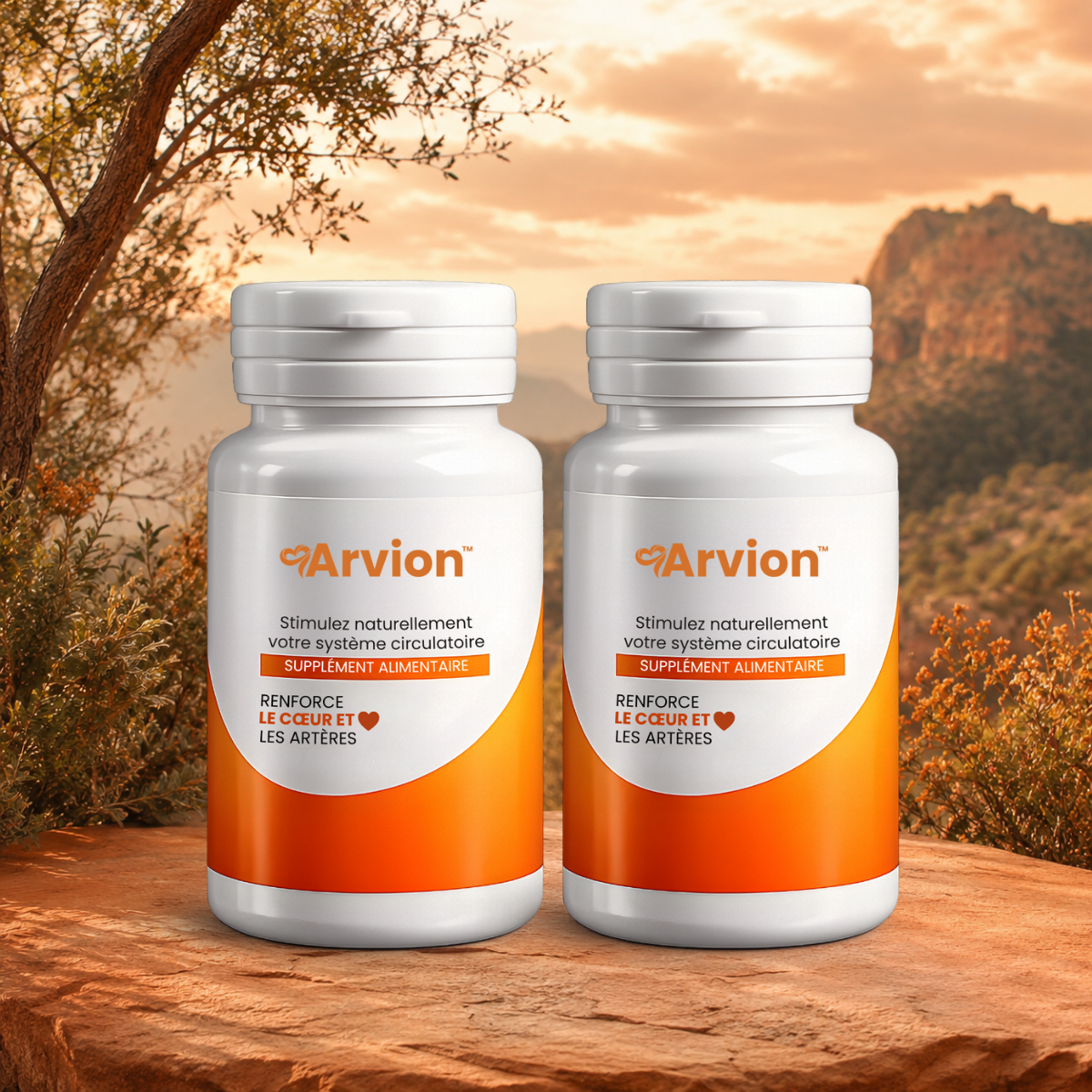 Arvion CA