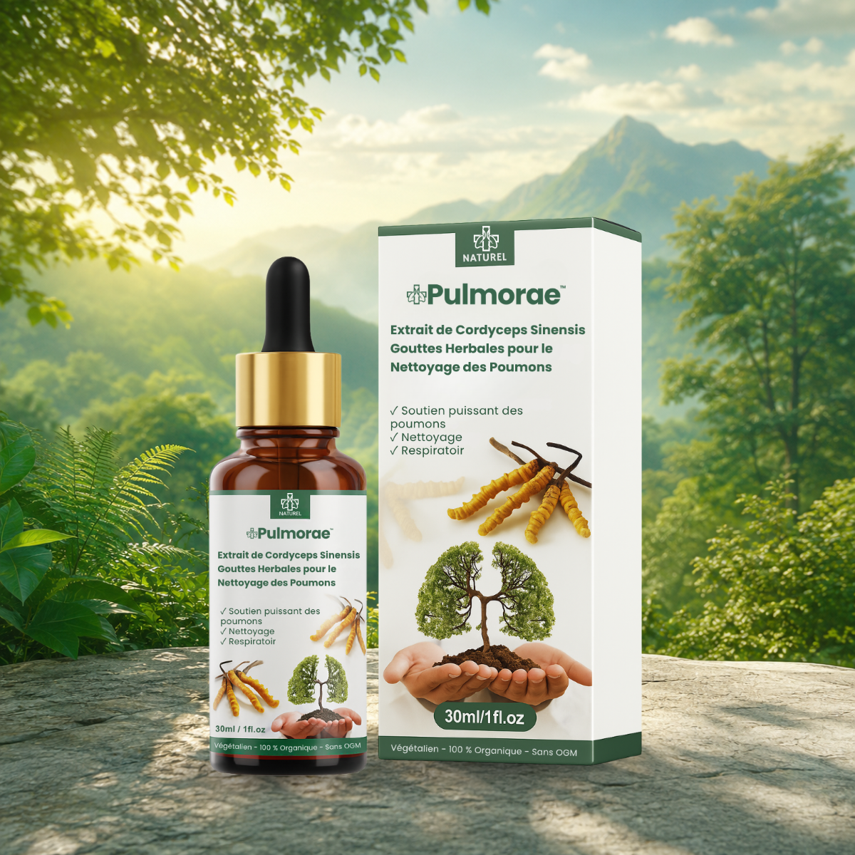 Pulmorae CA